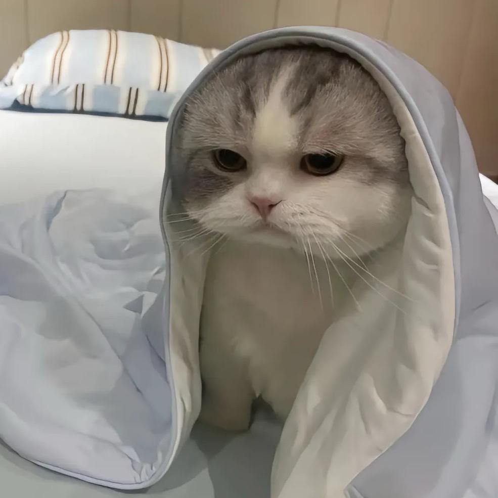 只想当废人