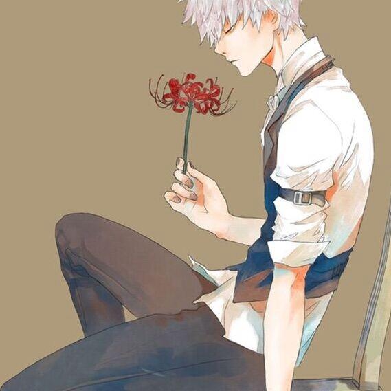 杰娃子的梦想碎片