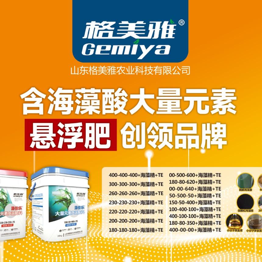 刚哥的一天