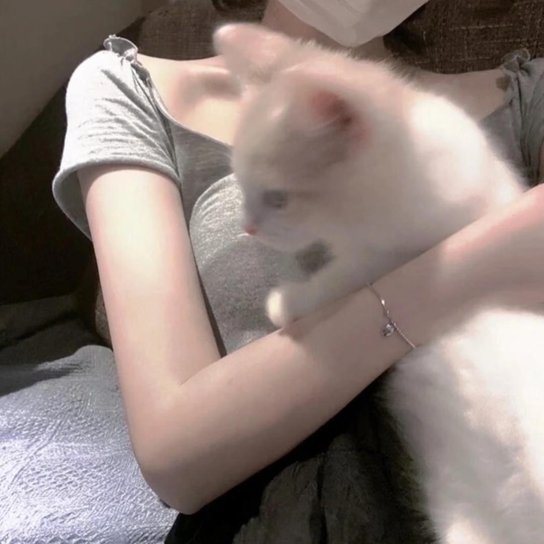 苒