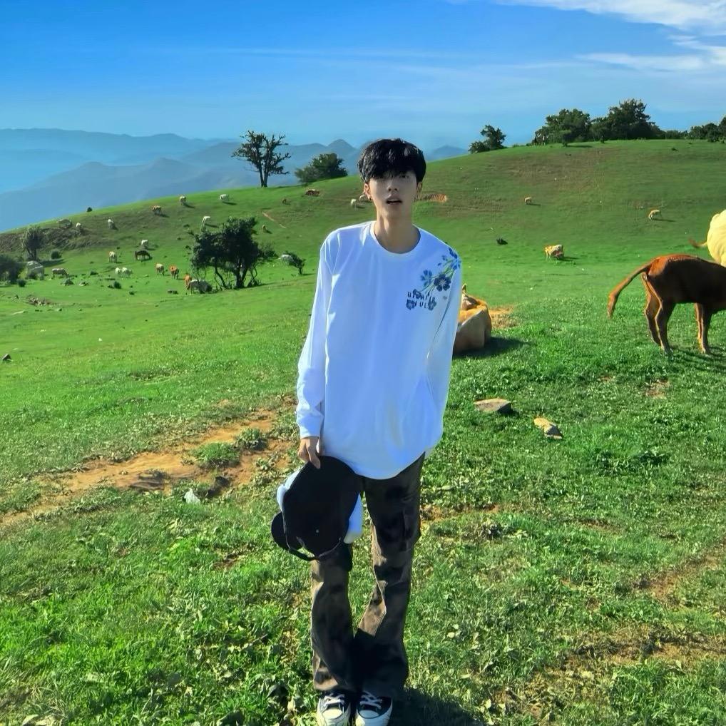 鲨鱼也是y