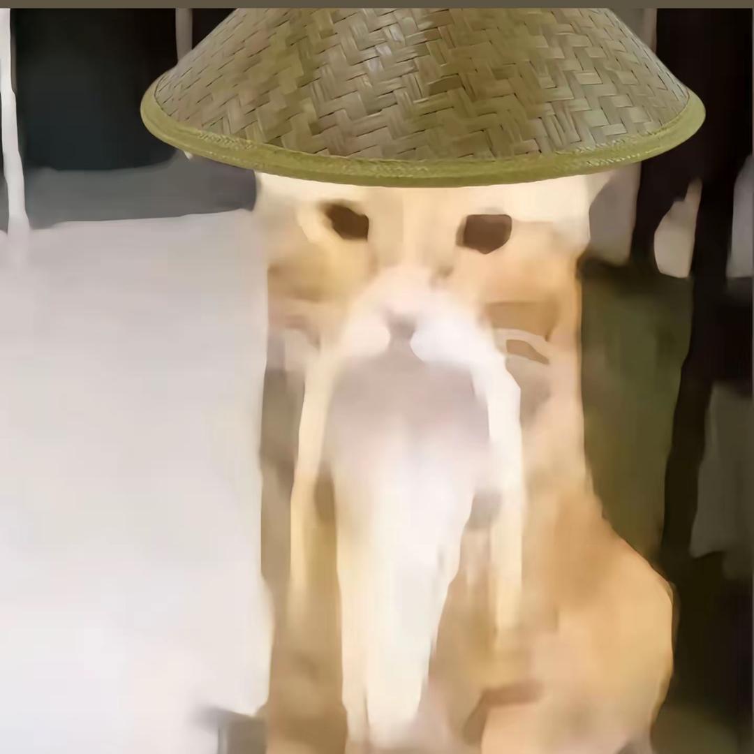 卢卡