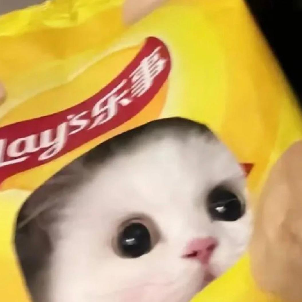 一个汉堡炫不饱