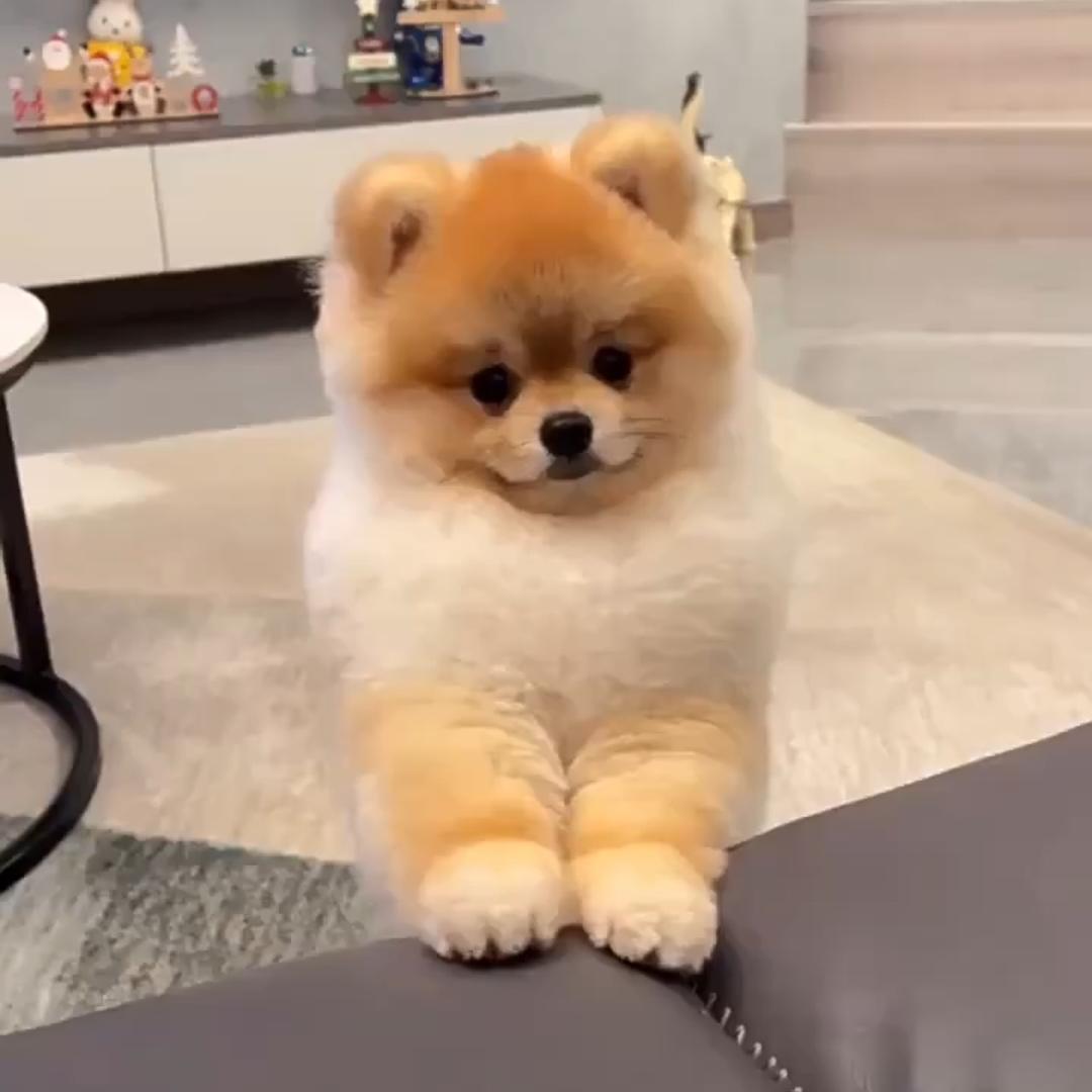 等风等雨等你（拒私聊）