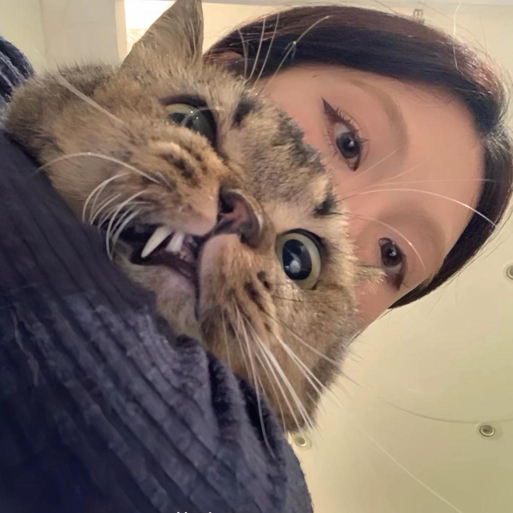 嘟嘟~