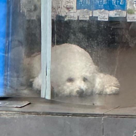 刘宝宝