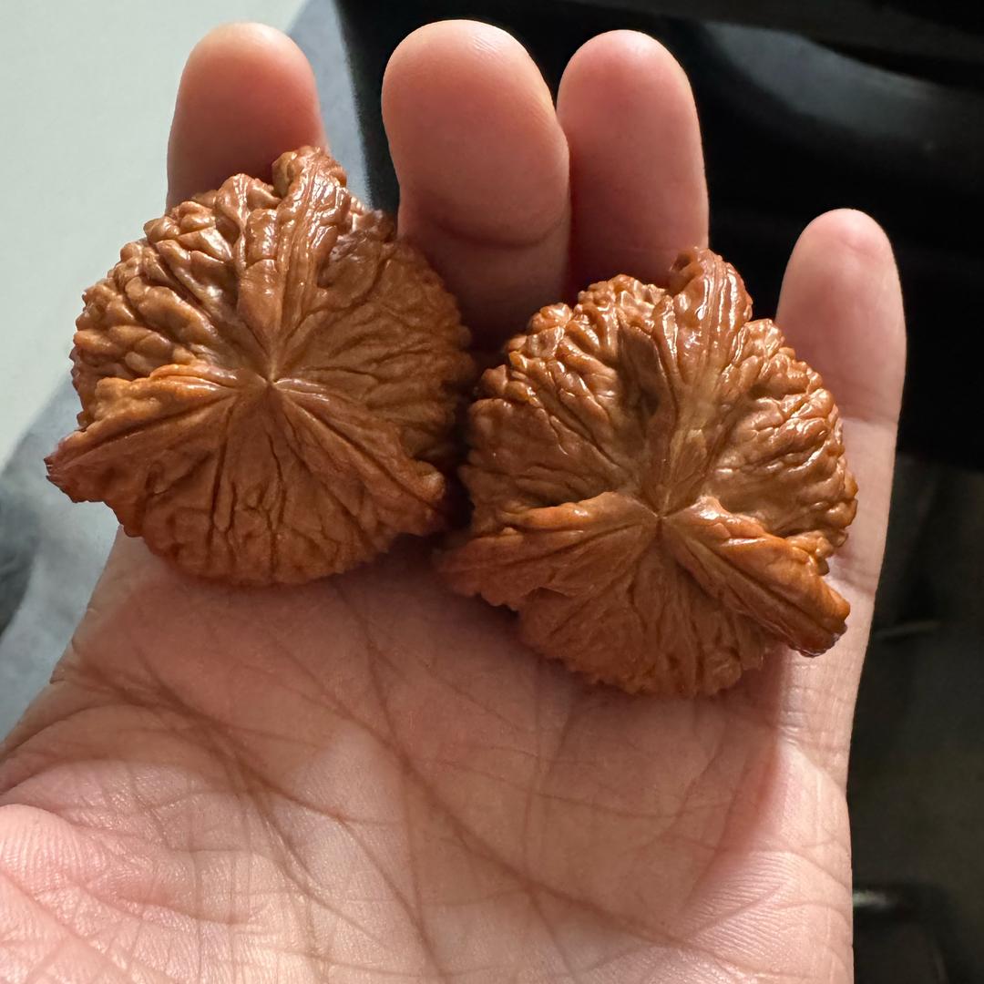 阿浩文玩（只玩精品）