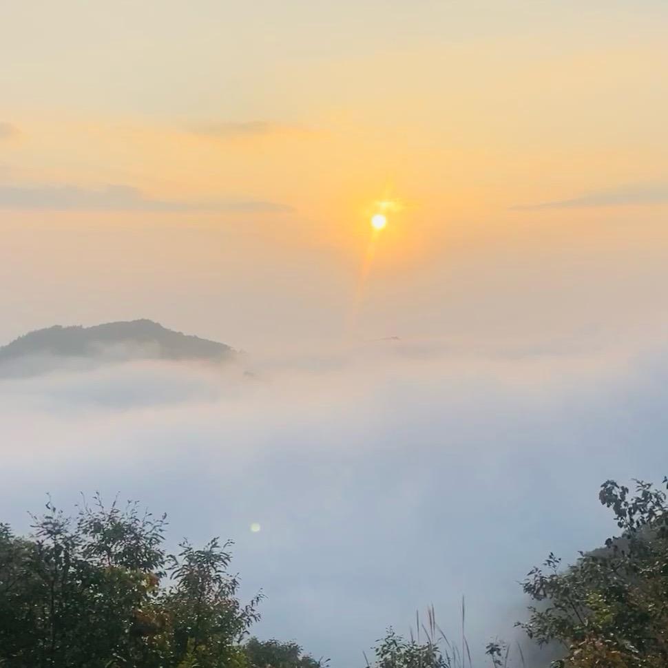 分享自己踩过的坑