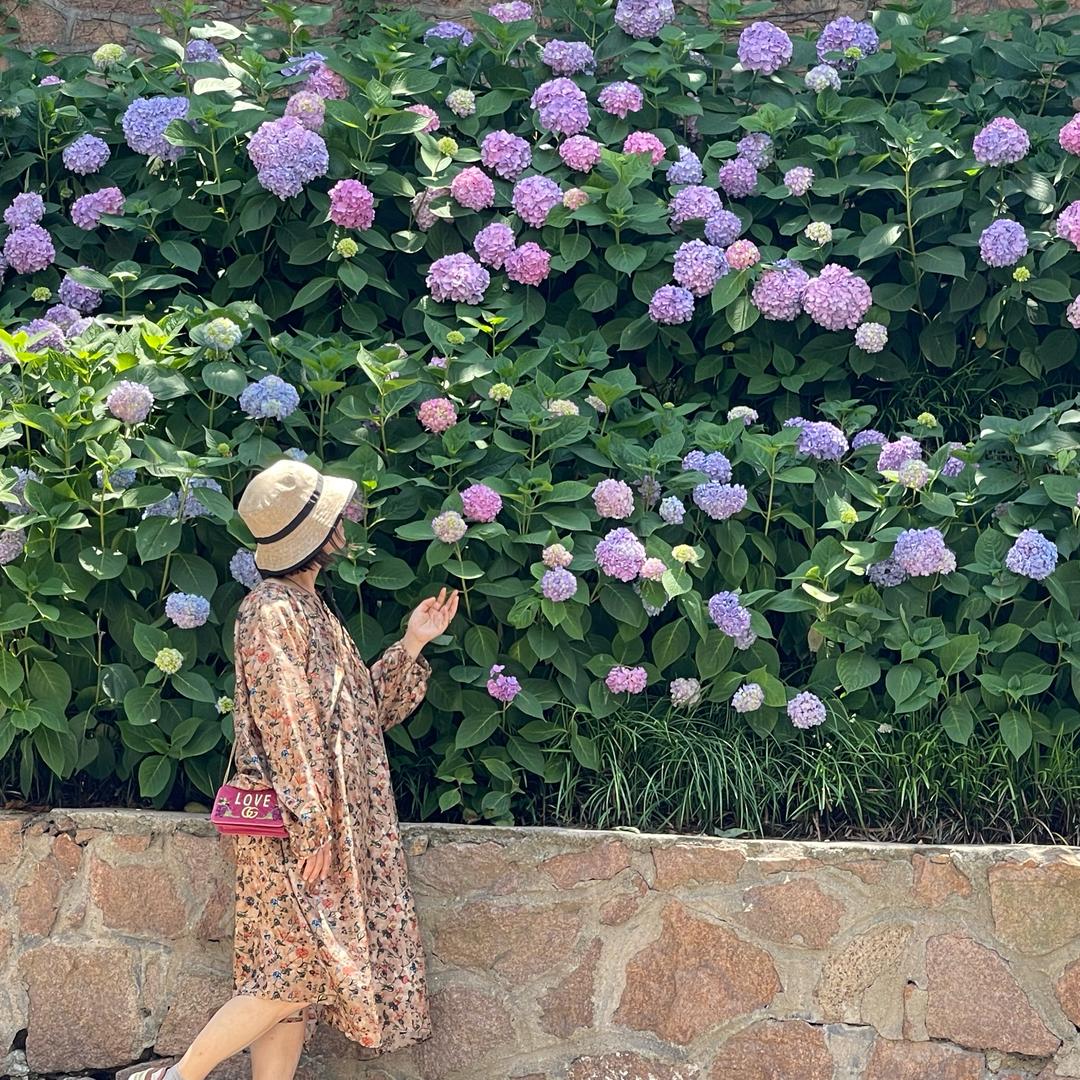 城外咖啡工作室☕️🇰🇪🐶🇨🇳