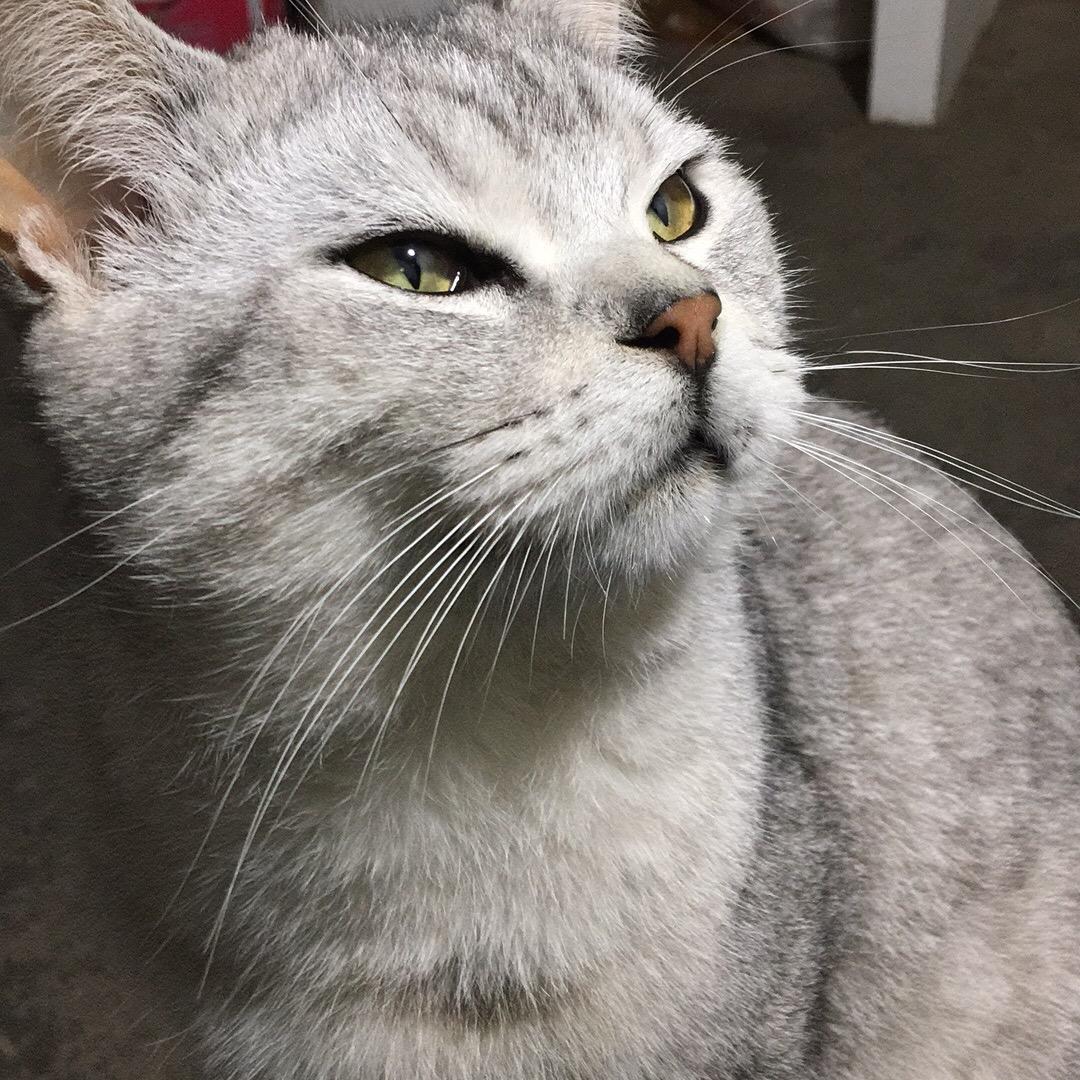 修轮毂的哥，张俊