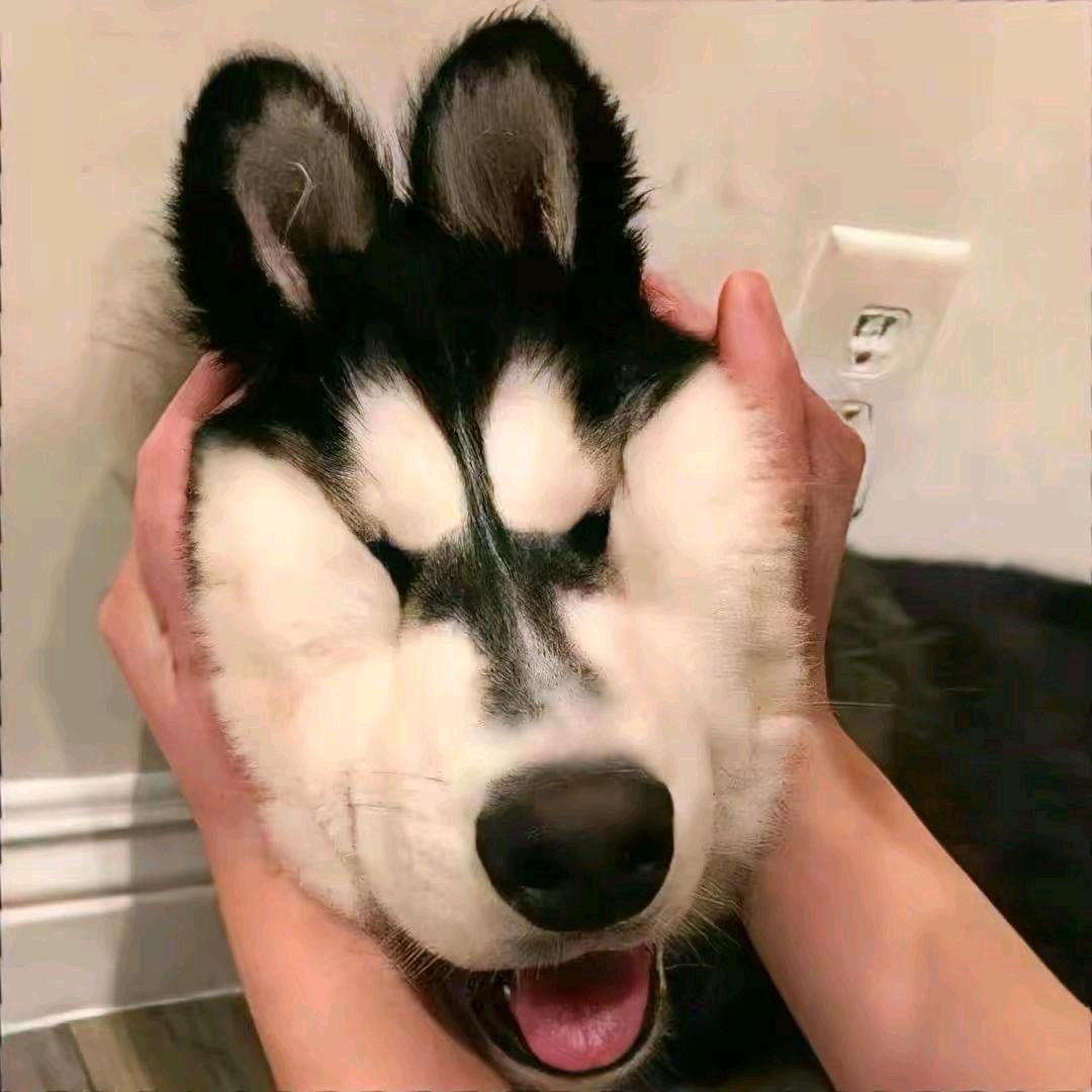 南风.