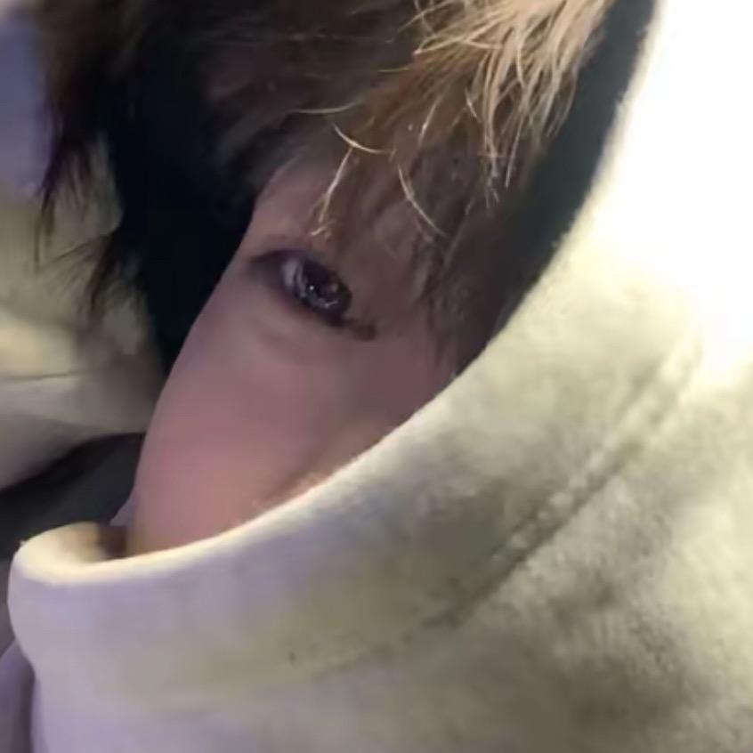 七月💎