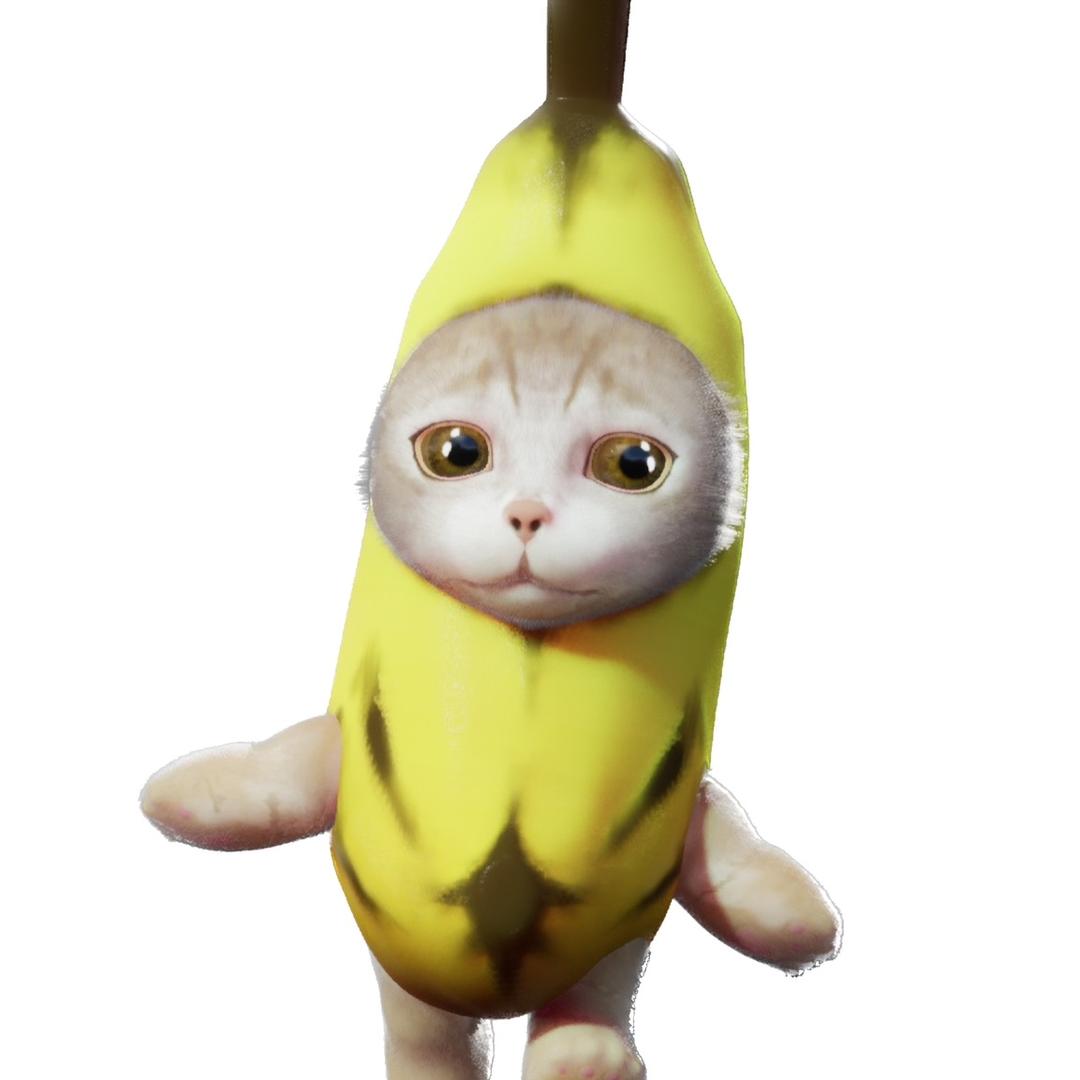 香蕉猫乖乖