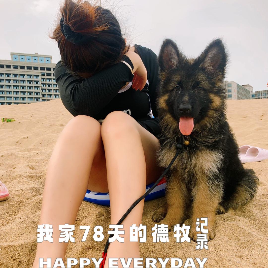 德牧海洋