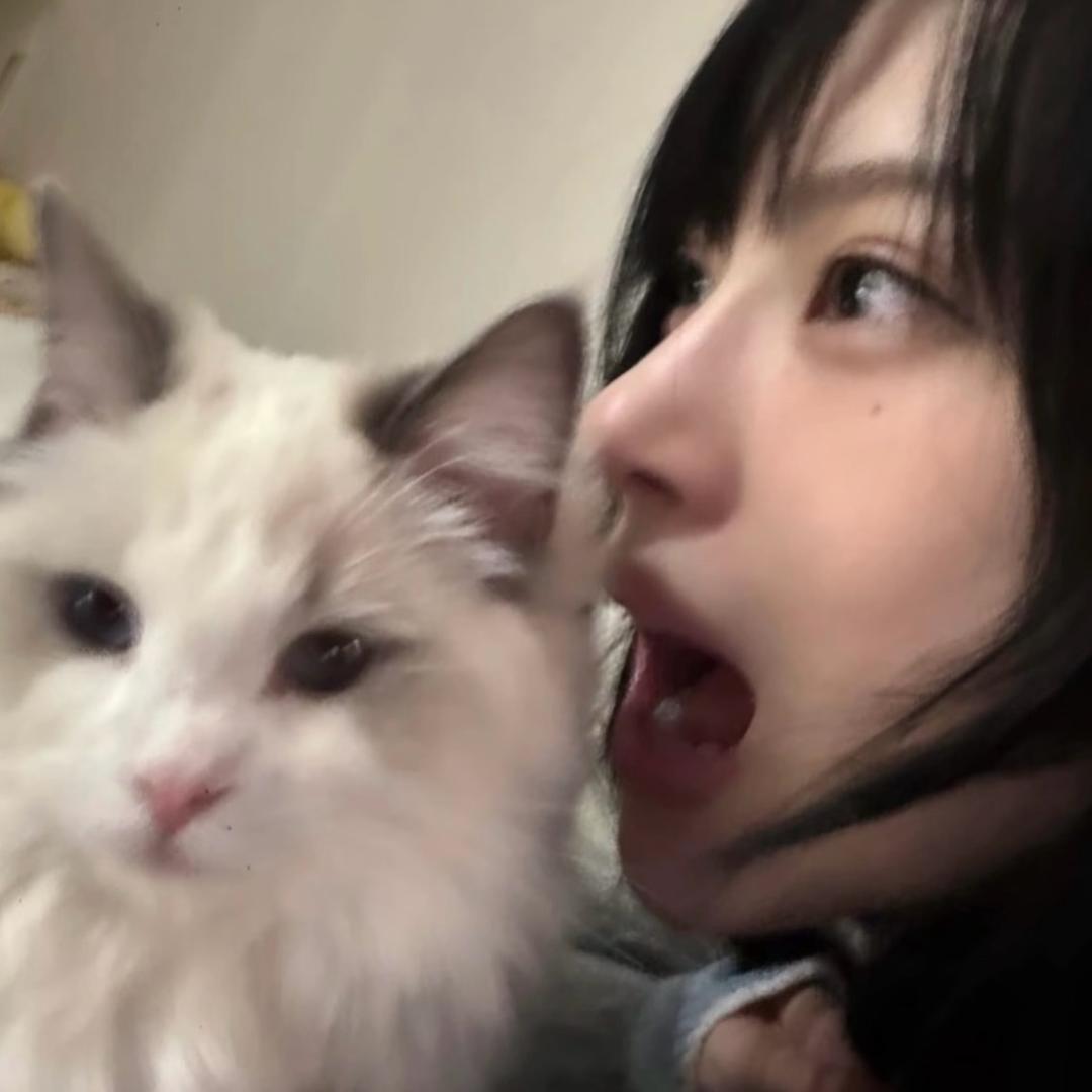 宫爆螺蛳章鱼烧