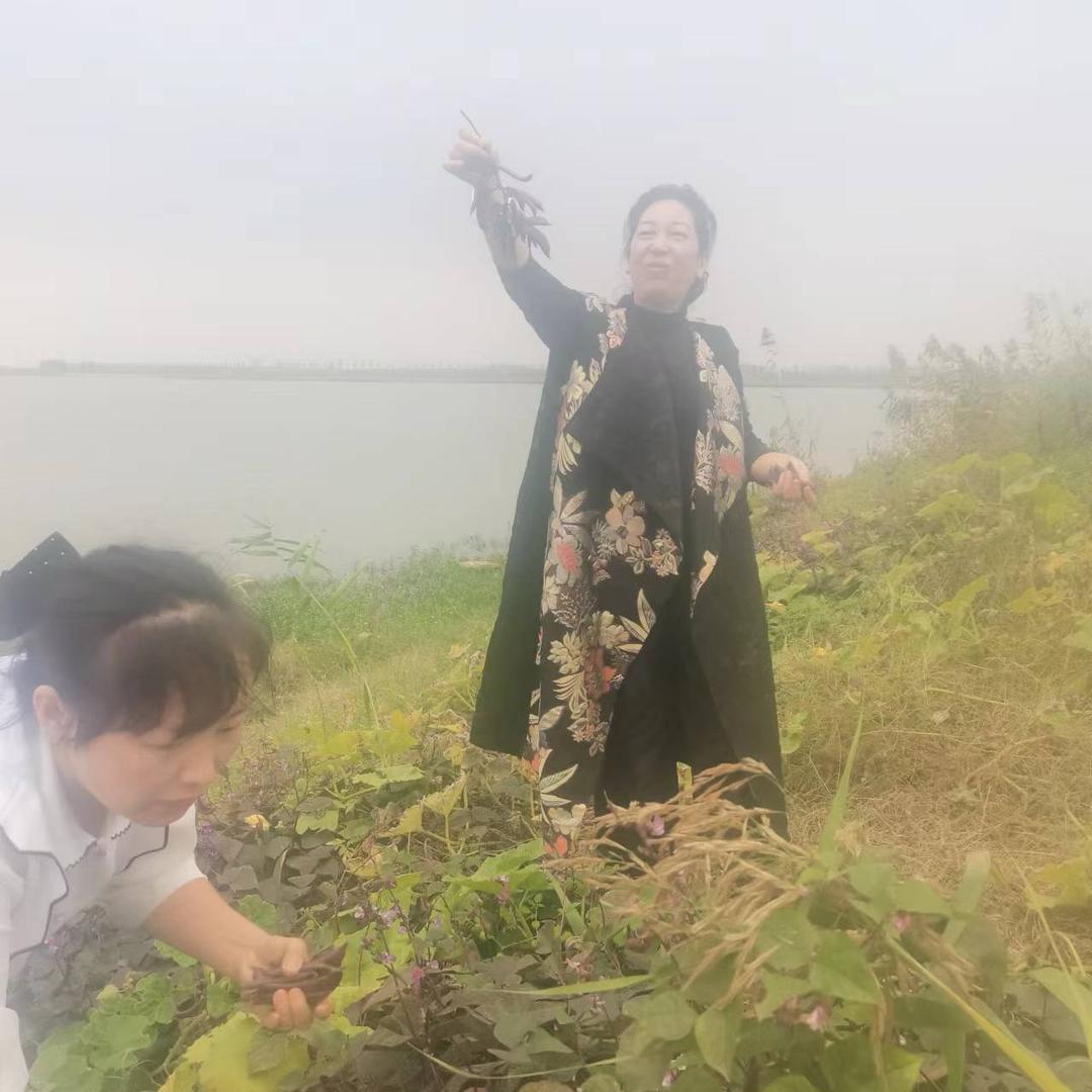涵墨妈妈