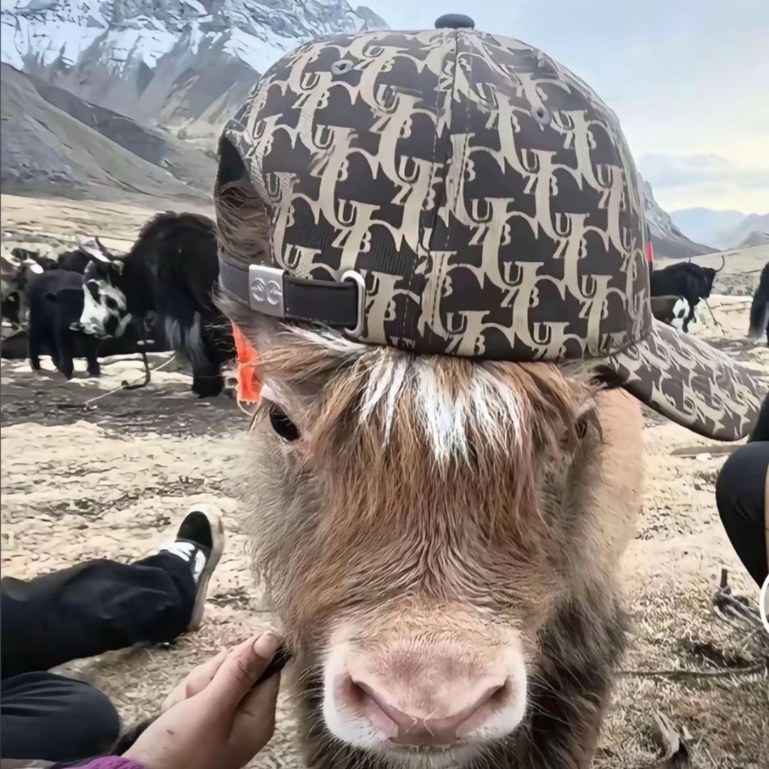 练习册