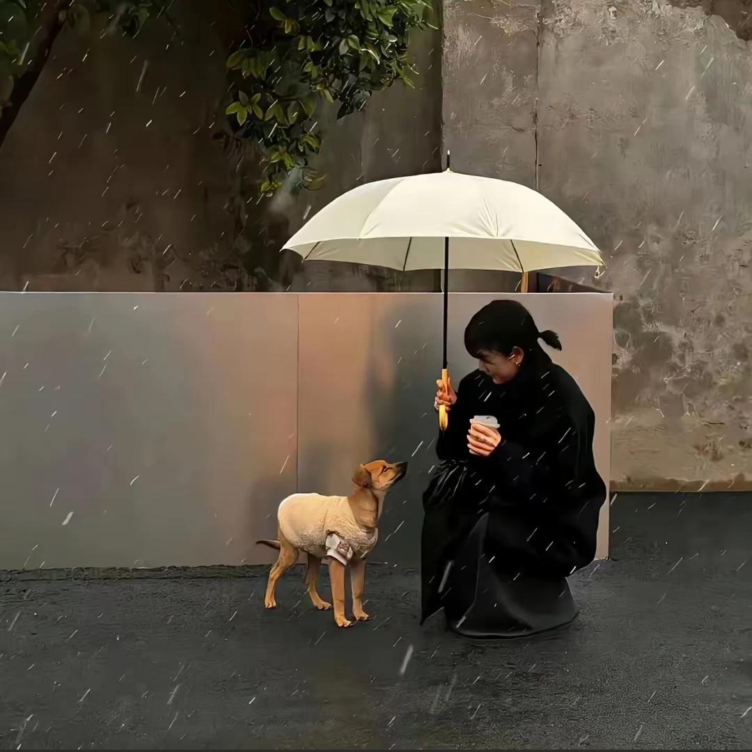 下雨天☔️