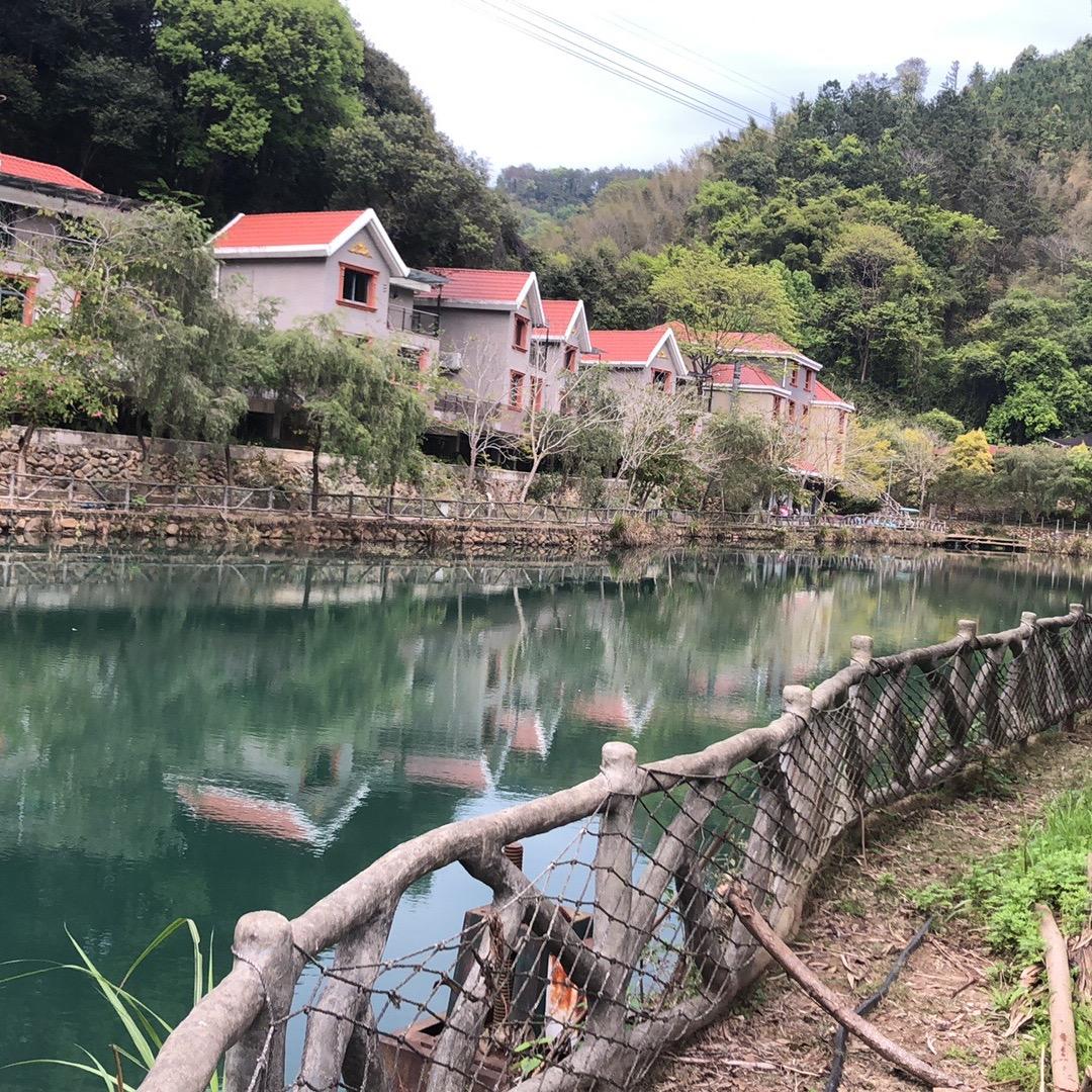 罗密欧与猪过夜