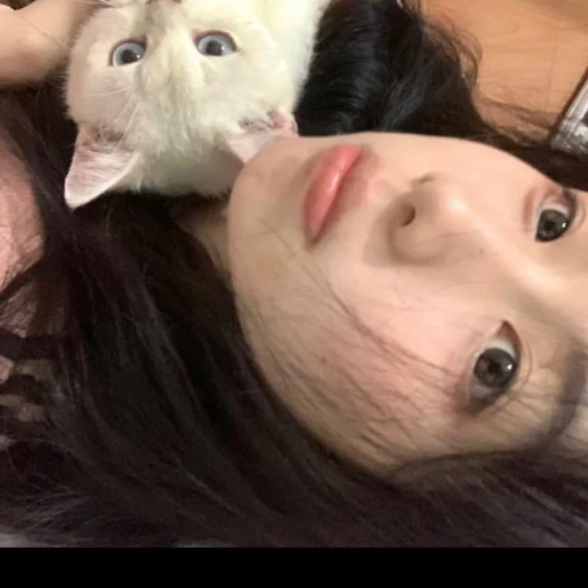 脑袋困掉啦ᥫᩣ