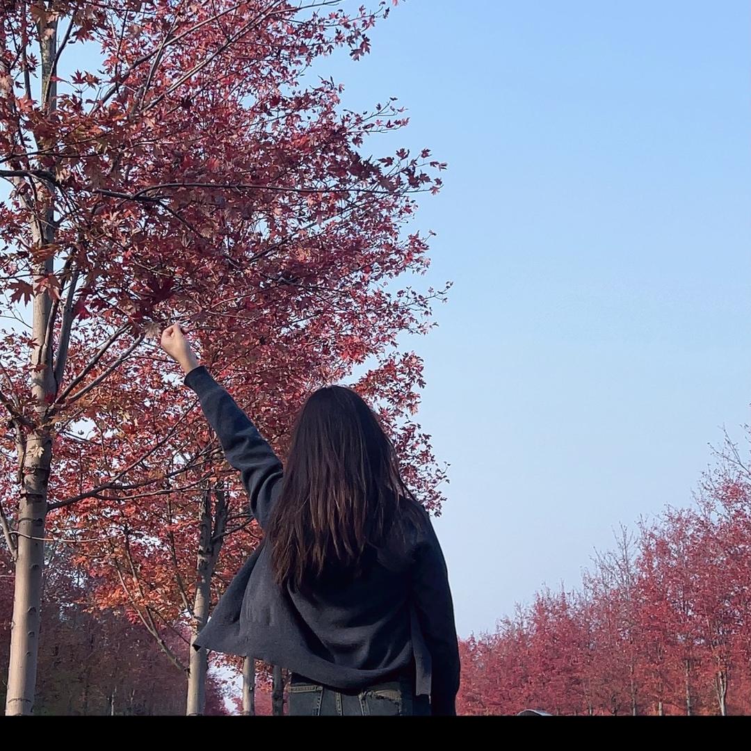 全屋定制工厂燕子