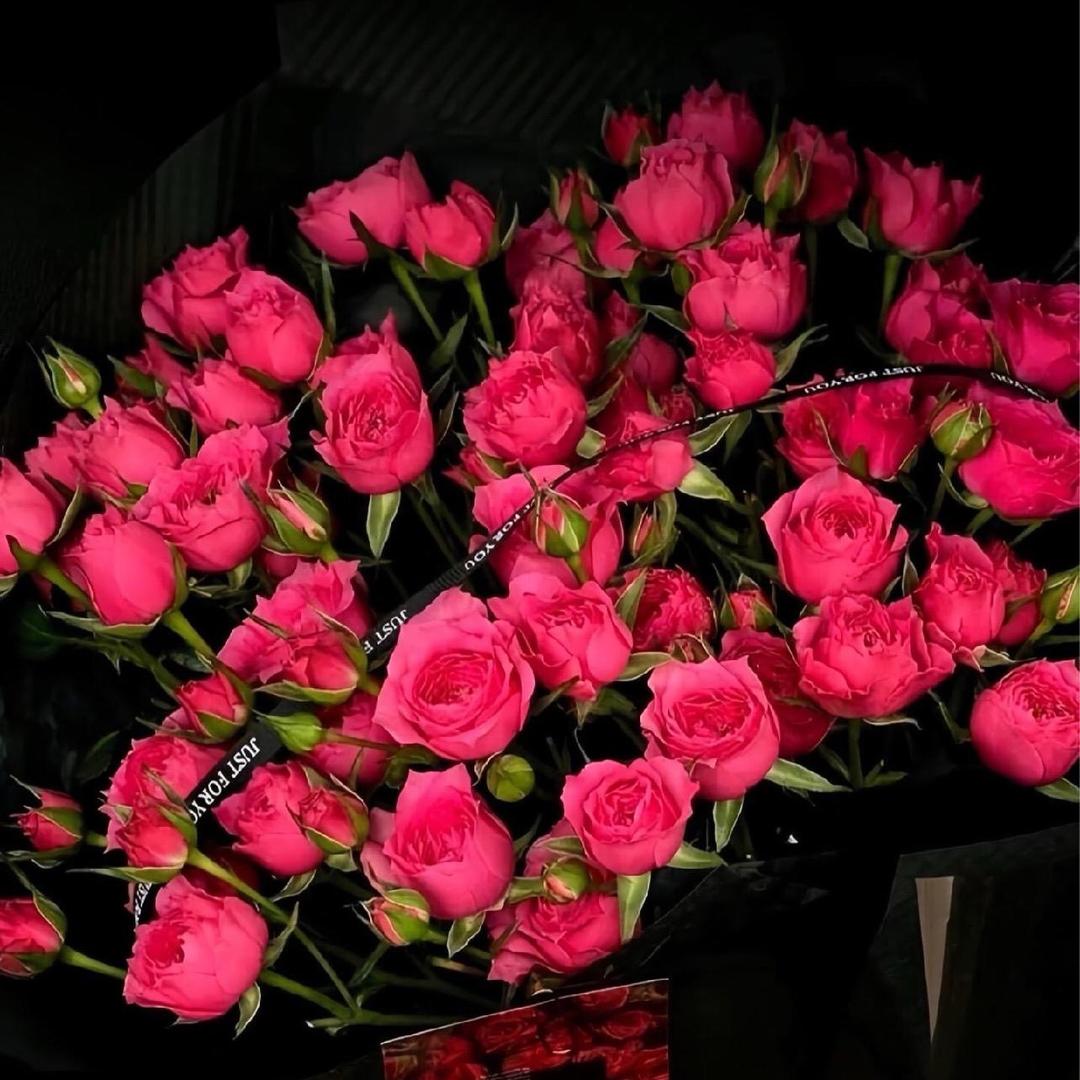 从此君王不上线