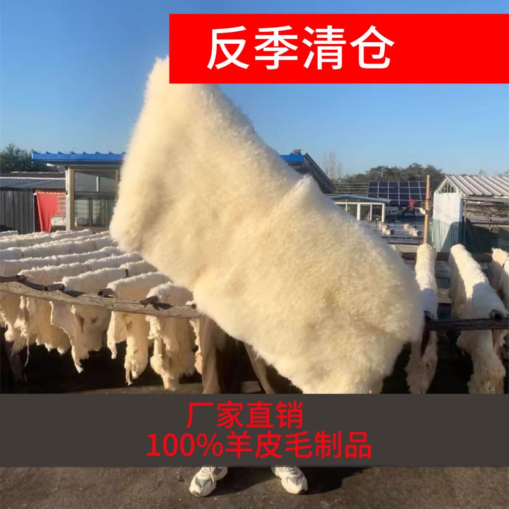 反季羊羊羊