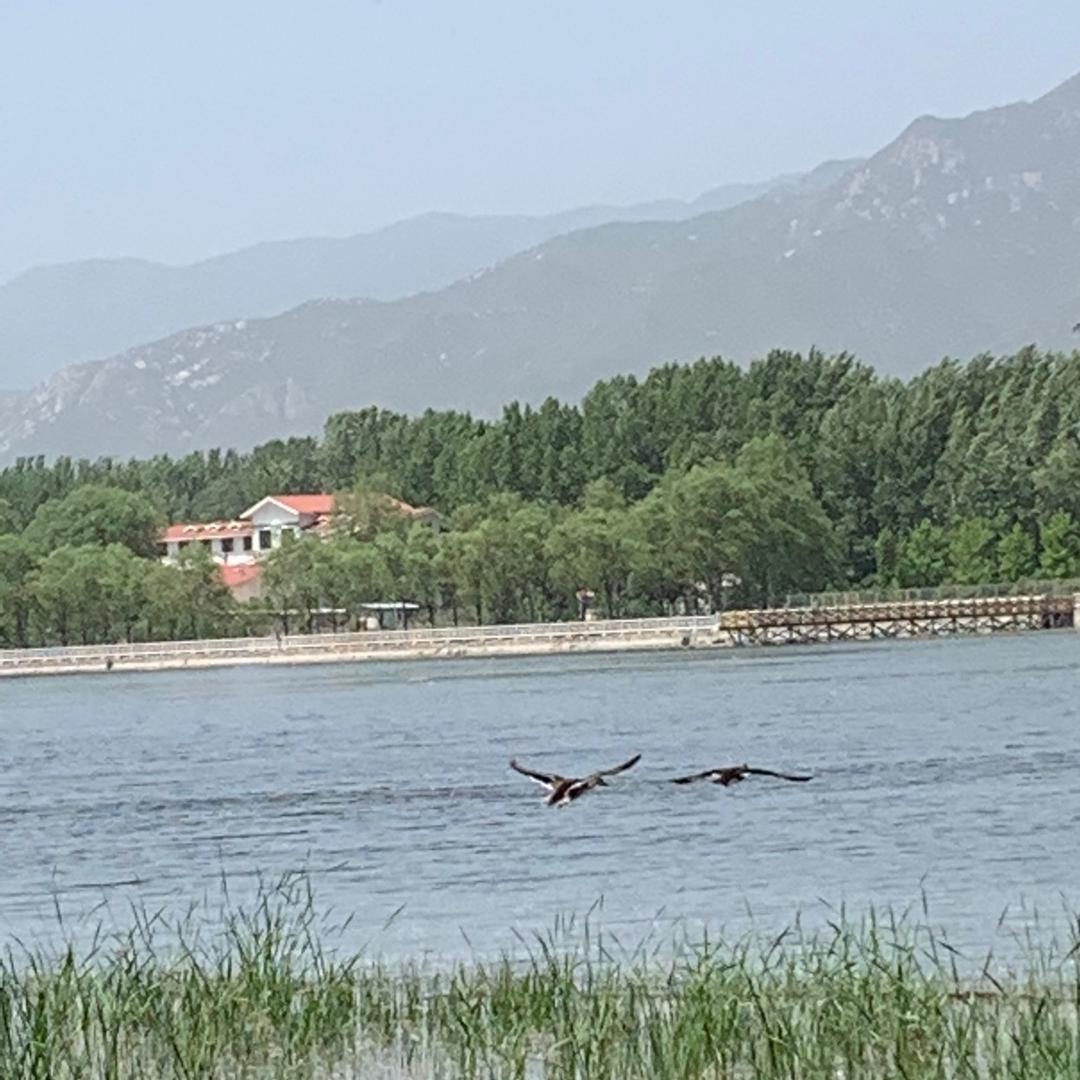 渐行渐远
