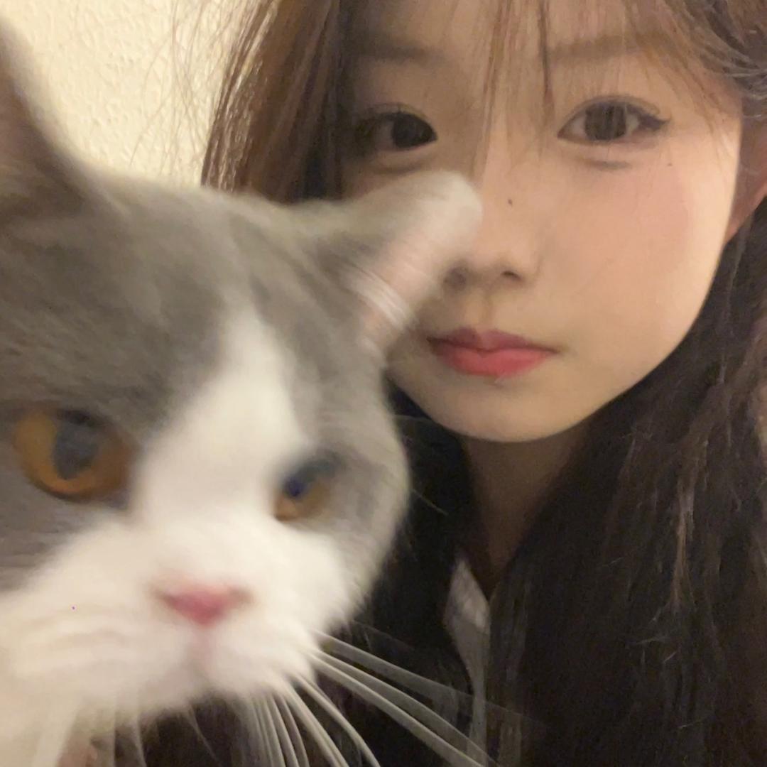 今天噜噜脸了吗-