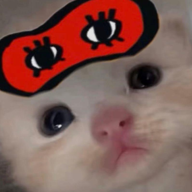 Ccyuuu.