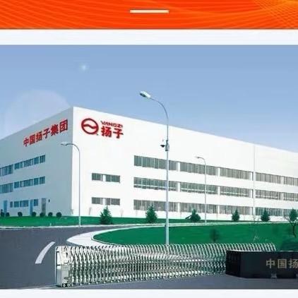 扬子维嘉直播号