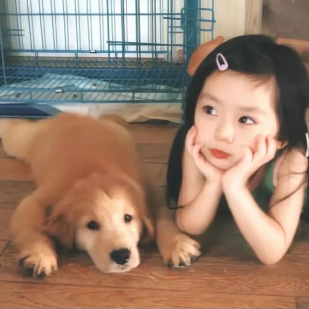 Yy·