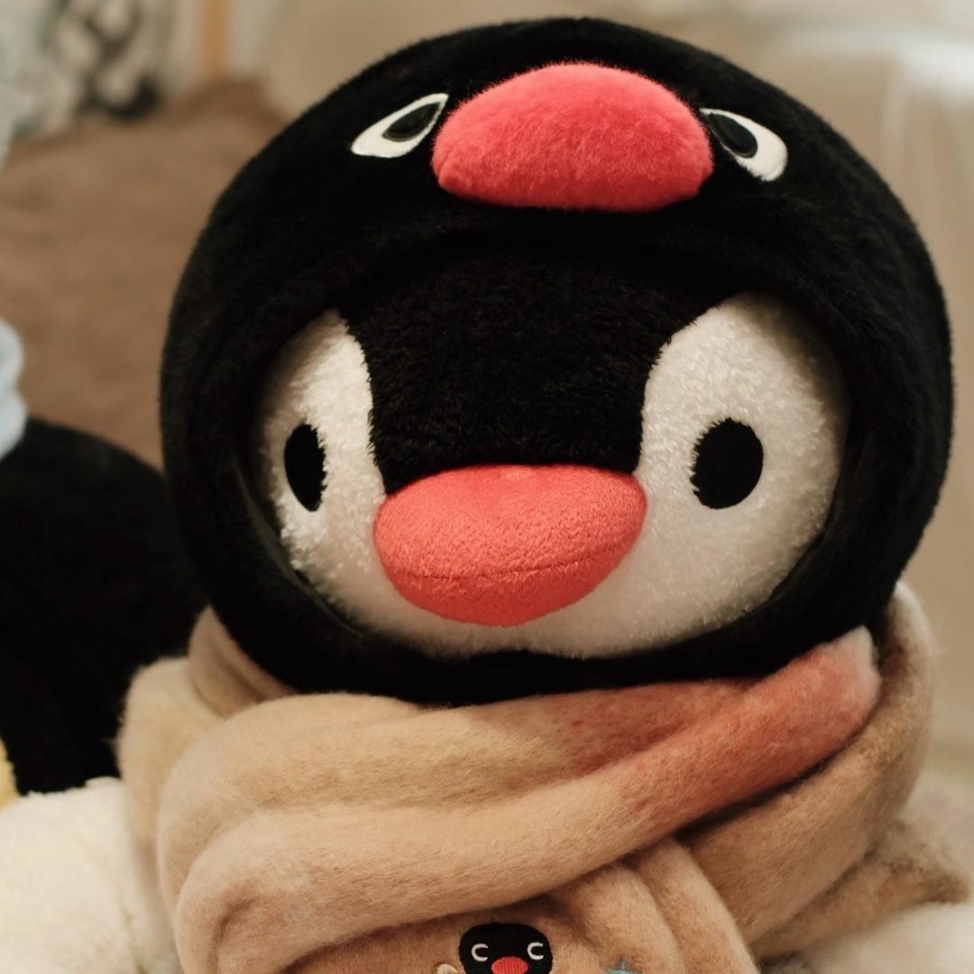 在南极种香菜🌱