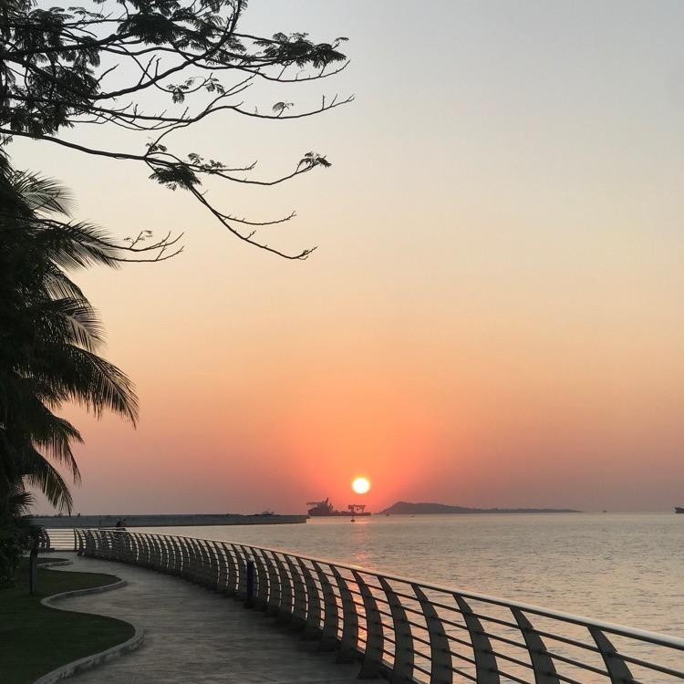 羽绒