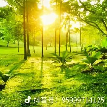 状元堂托管