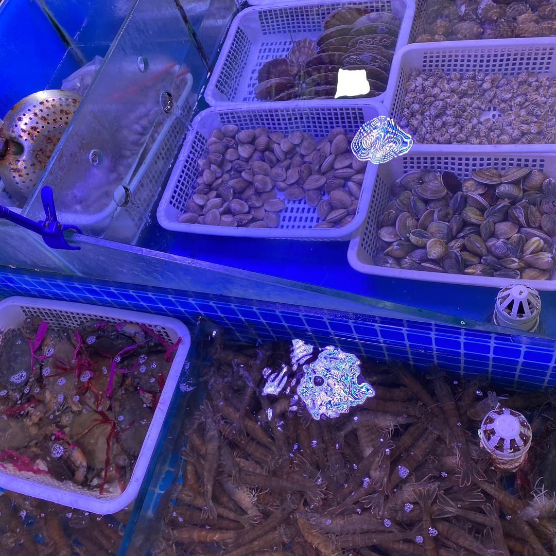 长春市金恒北方市场兰亚海鲜行