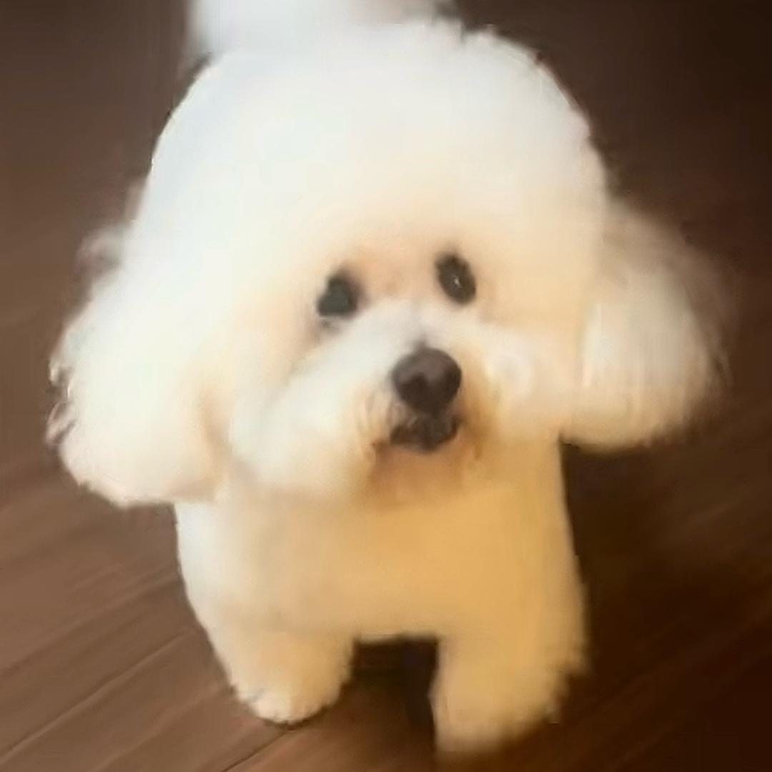 渺小的星🏠🌻