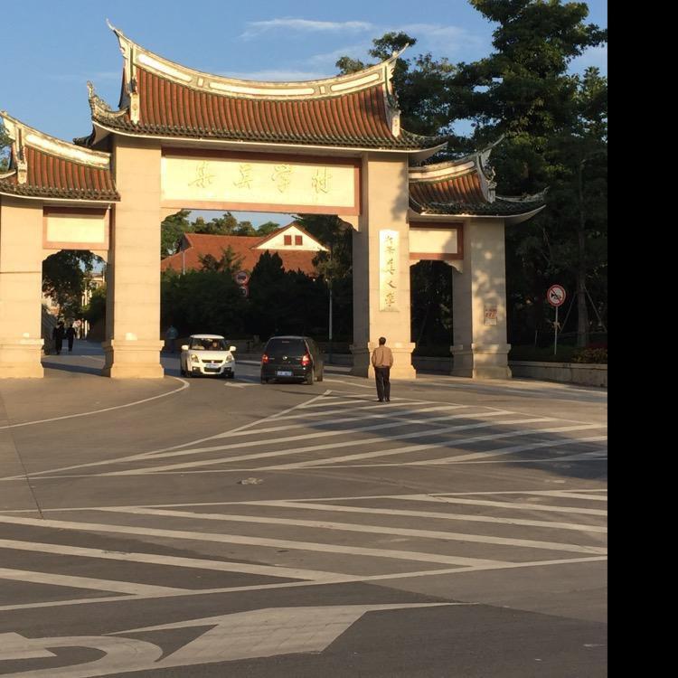 双木成林