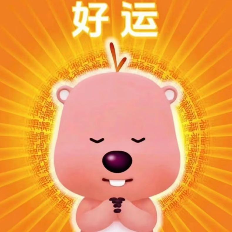 夏淇（摆摊版📸