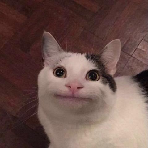 废渣小猴崽