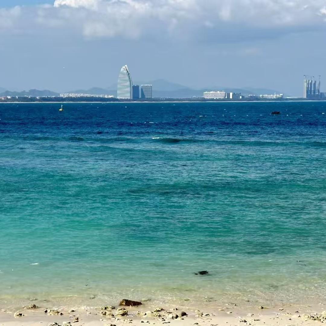 宋田田