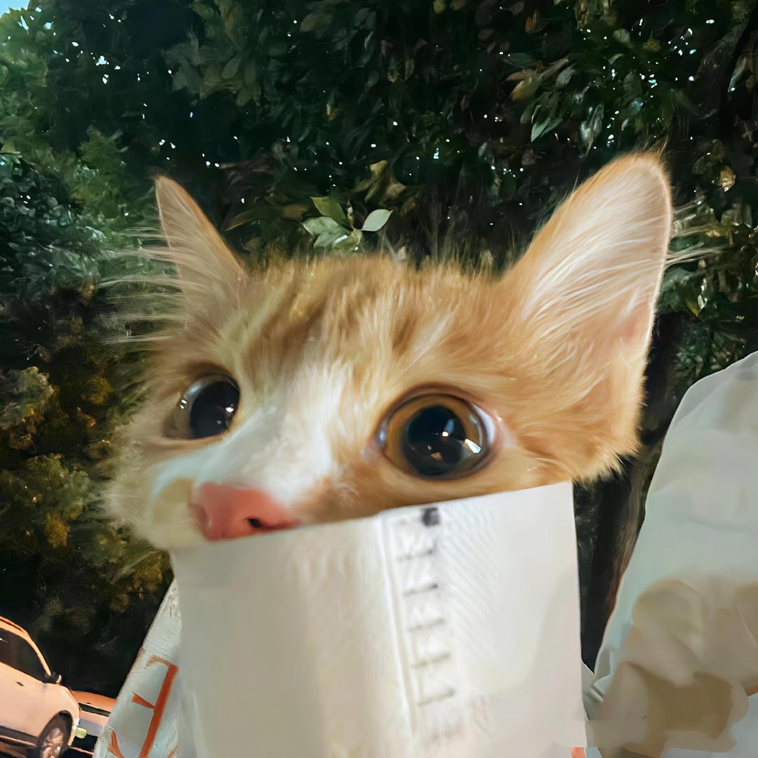 涂涂小兔