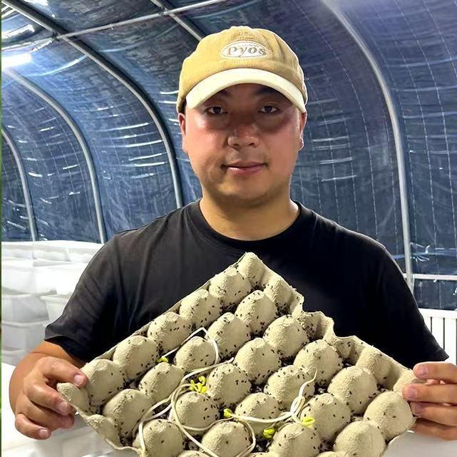 养蟋蟀的小白