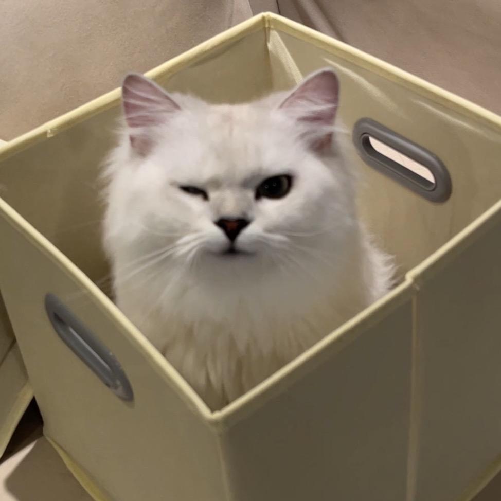 干饭喵屁屁@抖音