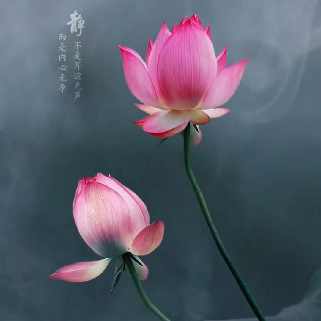 心静修心