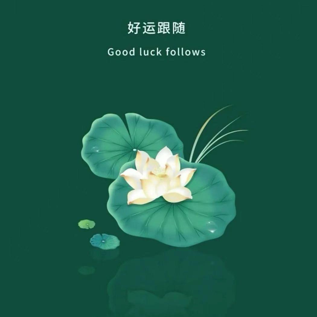 紫诺5366