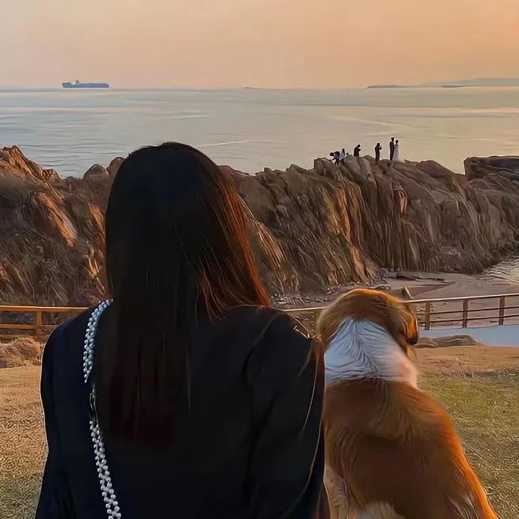 劉劉今天吃什么