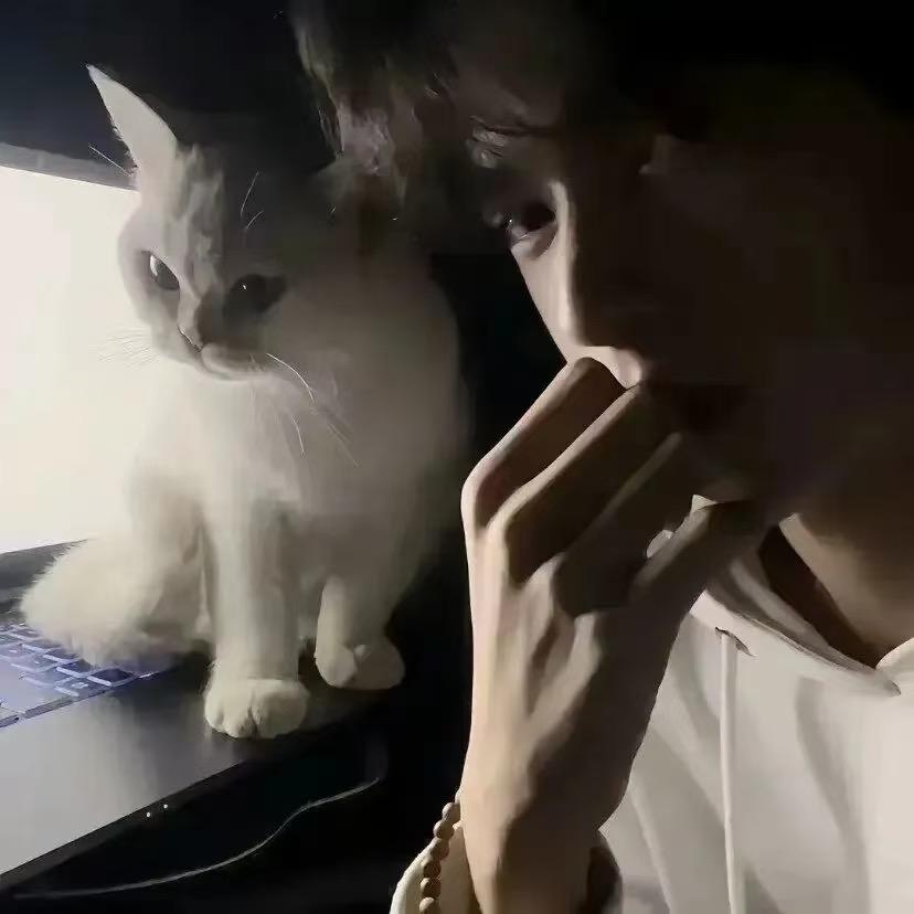 兮