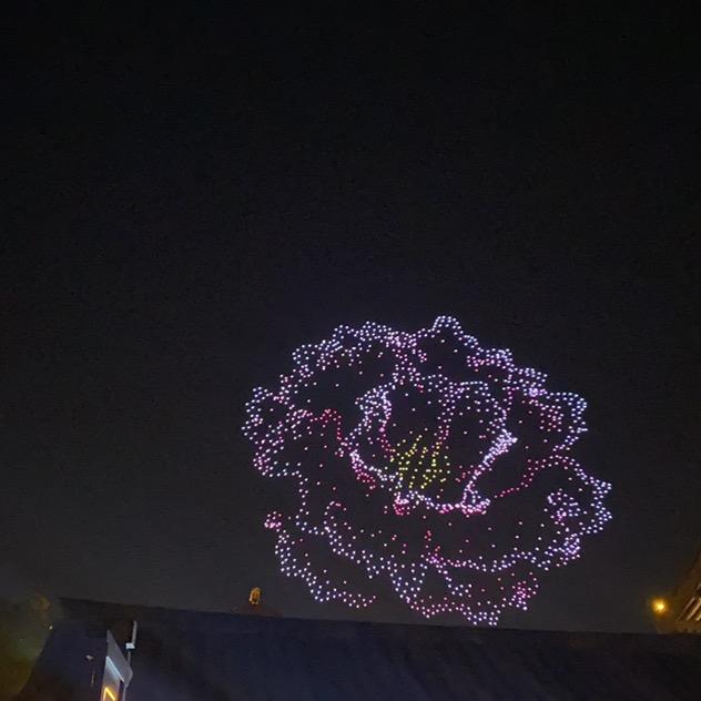 雅瑾桉