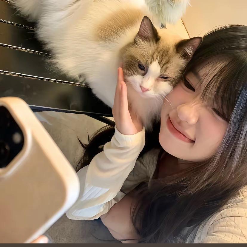 鑫鑫超市TLX专用号